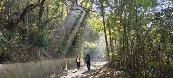 2024/12/14_關刀山步道O型2669312