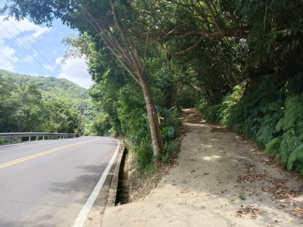 汐止區夢湖保線路+單車夢湖路O型2894077