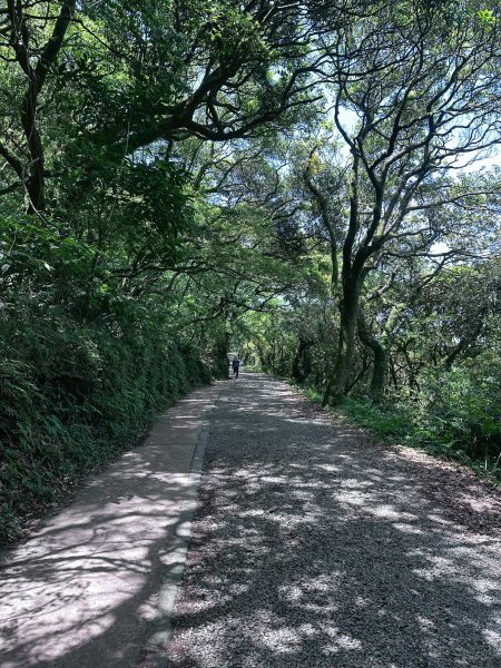 台北大縱走第一段2766795