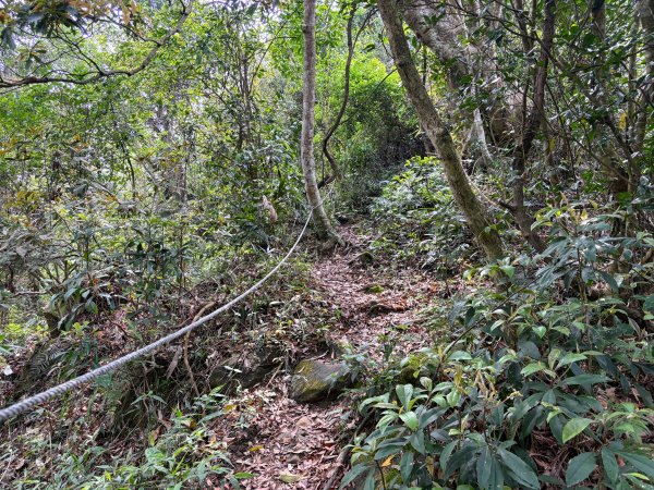 暗影山步道2753090