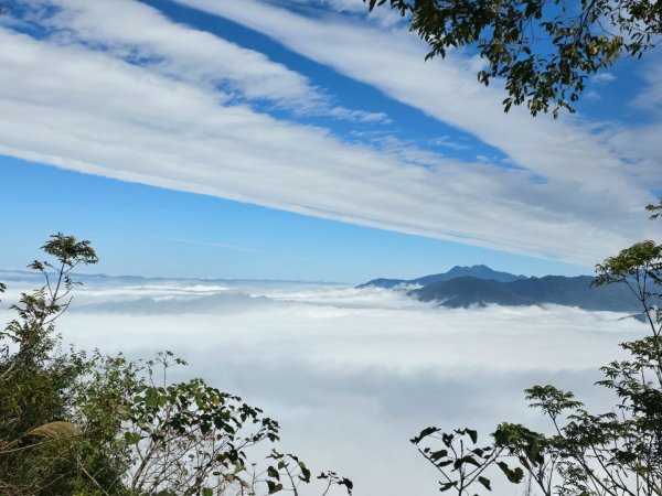 馬那邦山之雲海／雲瀑／楓紅／太陽琉璃光2668295