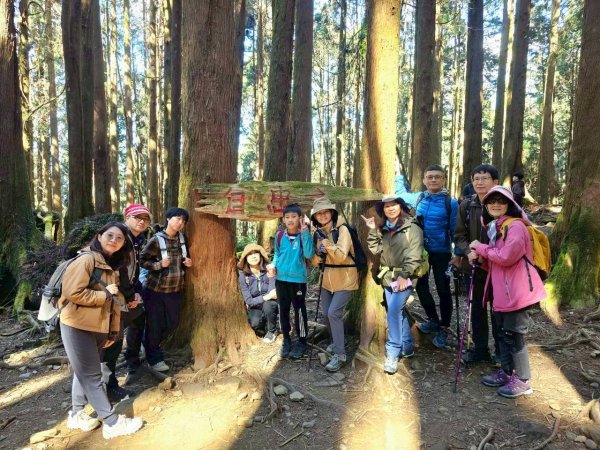 1141122特富野古道2945775