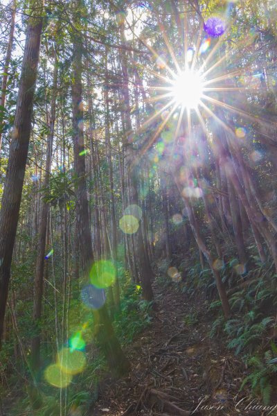 谷關七雄_八仙山2679616