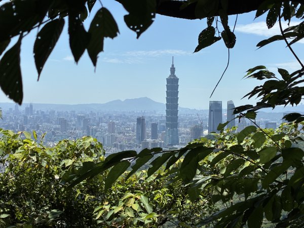 台北大縱走2026｜💎尋寶登上九五峰！第六段｜中華科大→九五峰→南港山→富陽生態公園3092081