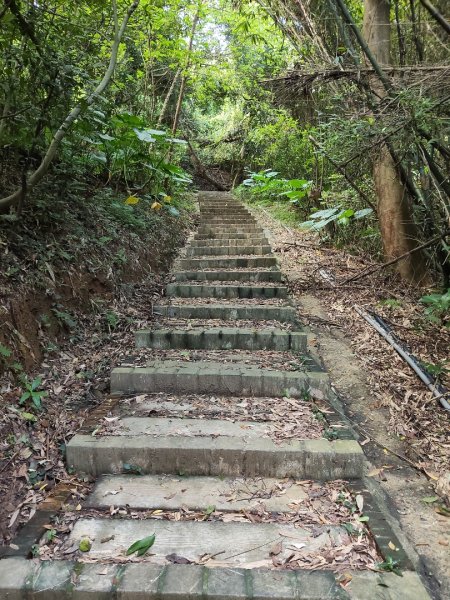 文山步道2848741