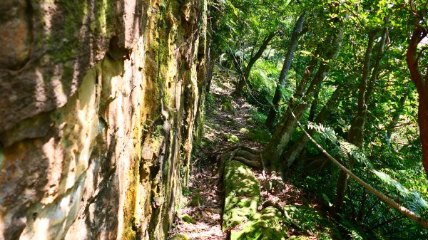 五堵獅頭山3043591