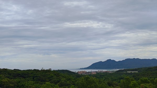 楊廷理古道2814639