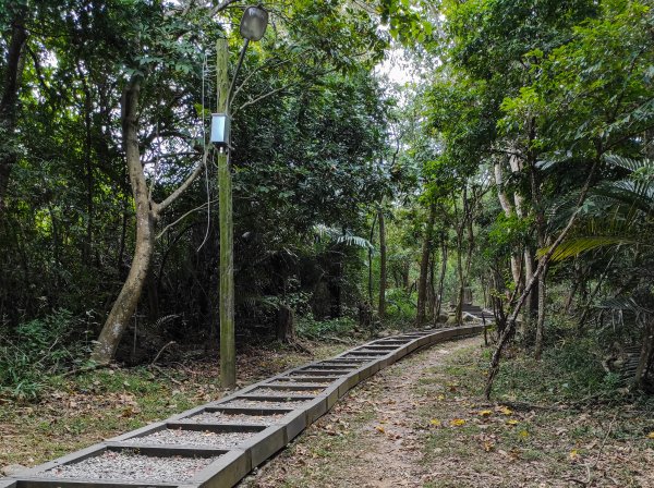 大坑1.5.2號登山步道1879721