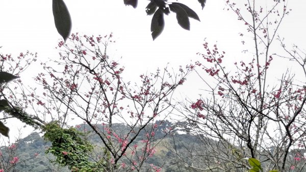 台北大縱走第一段1249184