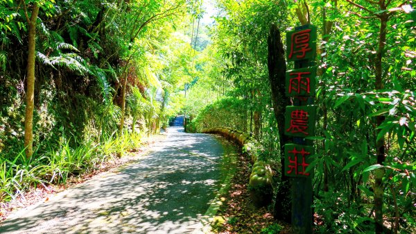 崩山坑越嶺內盤山2913763