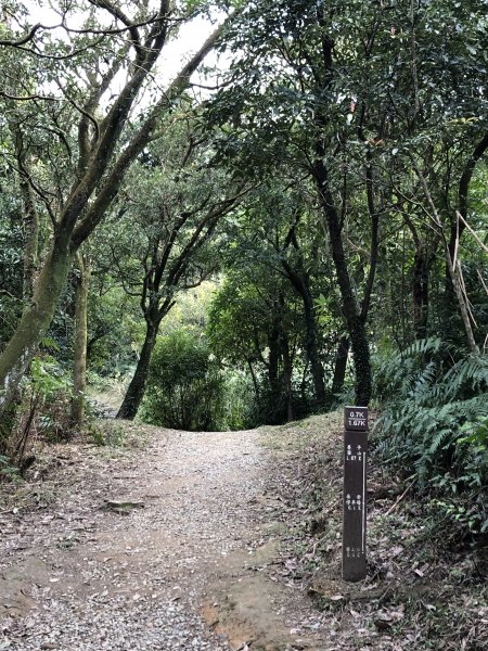 台灣小百岳No.011姜子寮山908420