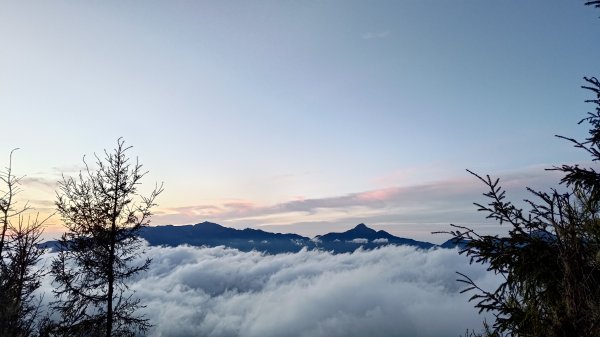 雪山主東峰步道2801363