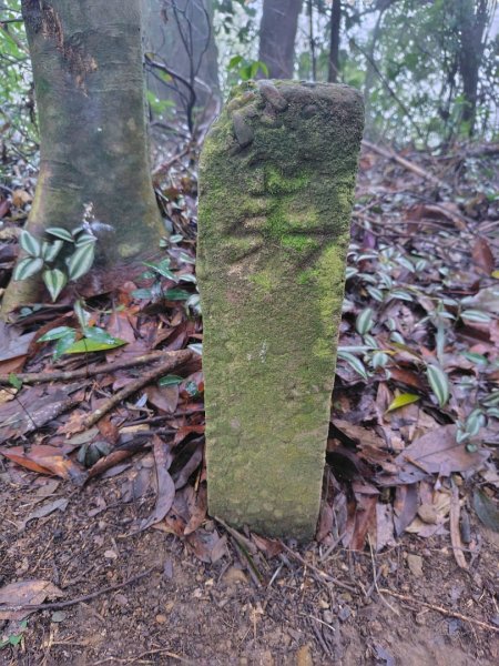 苗栗關刀山2975091