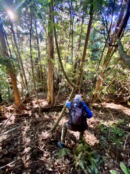 探訪萩岡駐在所、盡尾山東南峰    2023.7.132218377