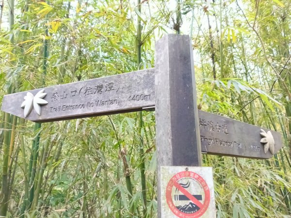 雙溪區打鐵寮山-鶯子嶺-坪溪山-烏山63號-烏山越嶺古道(坪溪山北峰)P字走3023796
