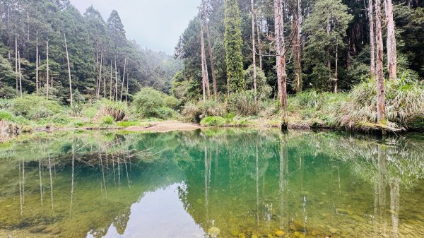 水漾森林+瞑月神木2768795