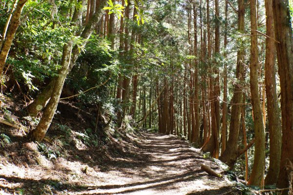 新竹 五峰 西高橋山、霞喀羅大山2959321