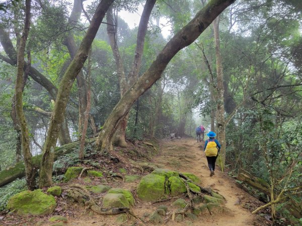 112.02.09 苗栗-獅頭山2025724