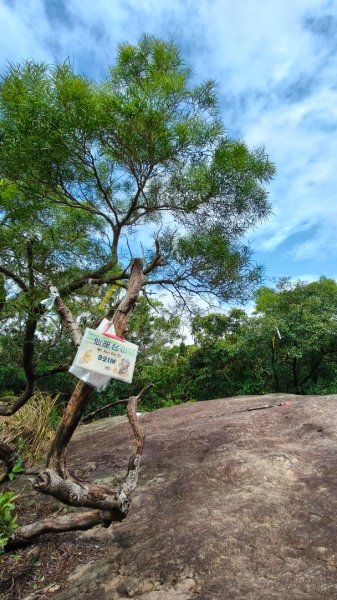 燕溪古道-大崙尾山西峰-仙座台山-圓明寺步道2926543