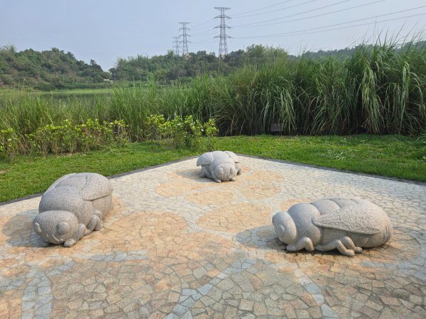 觀音湖3038265
