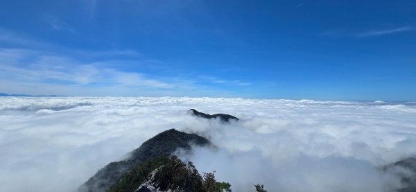 鳶嘴山雲海季開動嘍2634283