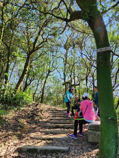 小百岳集起來-姜子寮山2181021