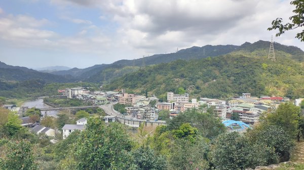 坪林四星Ｏ繞