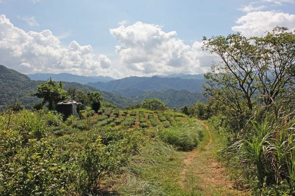 小格頭獅頭山,鱷魚頭最佳觀景點410954