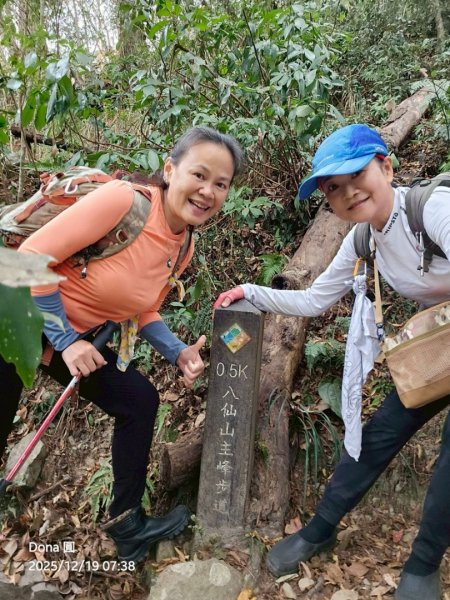 20251219八仙山+佳保台山(谷關三雌)2974417