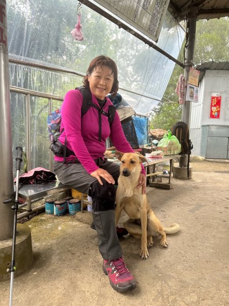 田中森林公園步道、赤水崎公園步道、花牆、龍過脈古蹟2750870