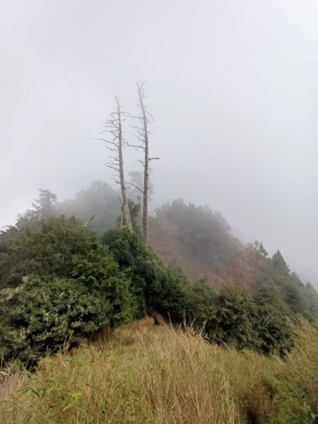 埔里六秀、中部四大名山:守城大山         隊名:鯛魚燒埔里訓練1506124