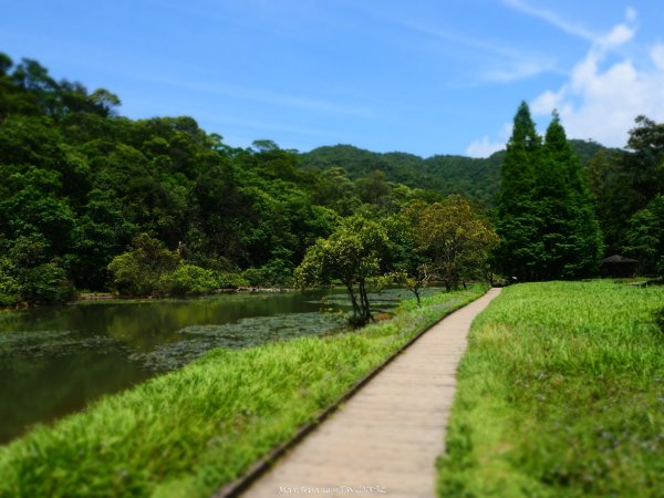 《宜蘭》植物博物館｜員山福山植物園201805182889162