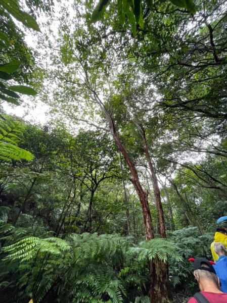 銀河洞越嶺很多小山1886145