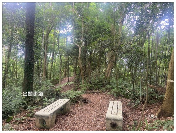 菜壽凸、薑麻園出關古道2797009