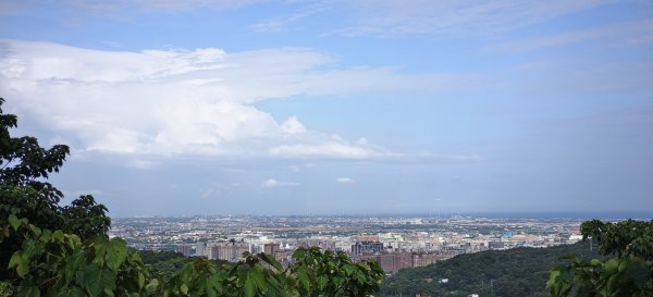 2025/08/03_羊稠森林步道2850663