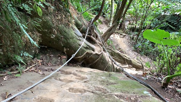 【小百岳】石牛山O型：拉繩、岩洞、展望佳1199304