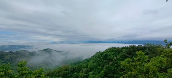 大坑頭嵙山出大景（山嵐海）2144657