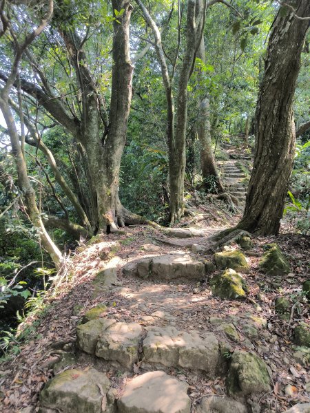 20250830天上山、旺旺嶺、太極嶺2874097