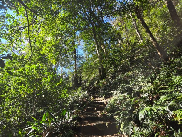 八仙山森林遊樂區、佳保台山2712658