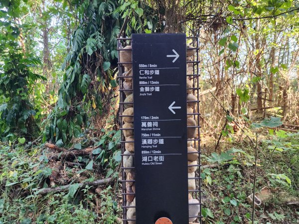 新竹湖口｜萬年道、仁和步道、金獅古道、漢卿步道2912199