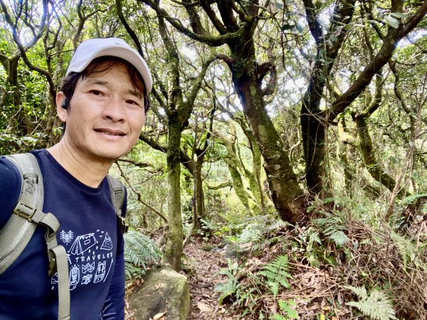 《中正山 × 紗帽山｜穿越北投古道與山林的一日縱走！》2934992