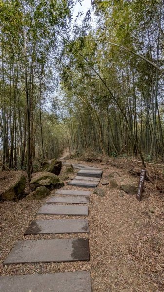 雲嘉五連峰 (大尖山、二尖山、馬鞍山、梨子腳山、太平山)2991077