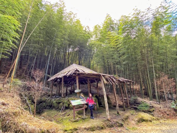 五元二角-東碧山莊O型環走837699