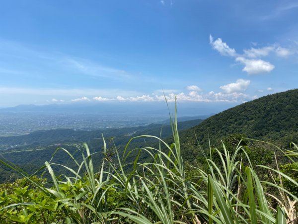 步道巡訪員 l 聖母登山步道109年七月份巡訪1053004