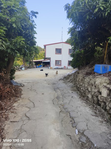 小崗山2025-12-072957836