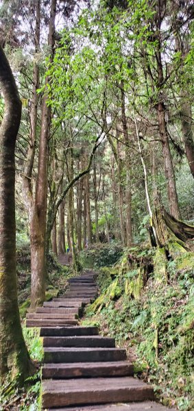 2023-01-01杉林溪青龍蕨類步道(青龍瀑布)、松瀧岩瀑布及天地眼步道1978888
