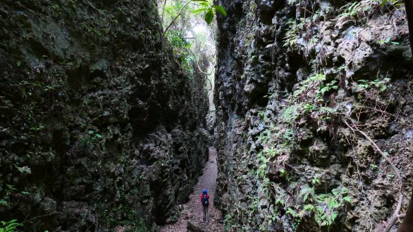 大崗山,盤龍峽谷2954523