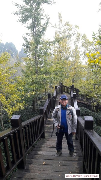 《南投》竹林銀杏｜鹿谷長源圳古道、大崙山銀杏森林、武岫201709212890483