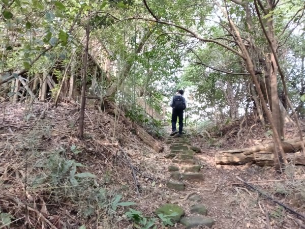基隆市三層山+湳子大崙+淡基橫斷古道+面桶寮土地公2982236
