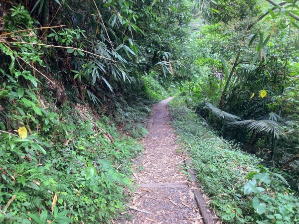 獨立山國家步道2615851